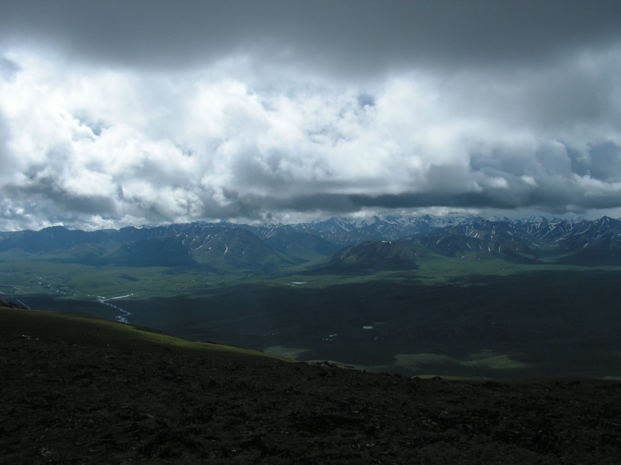 Denali National Park